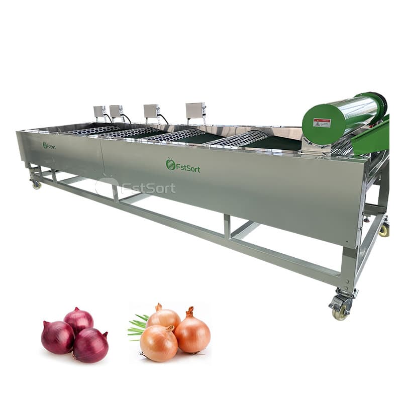 images/1764298274609onion sorting 2.jpg